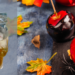 Fall inspired photo with a whiskey sour drink